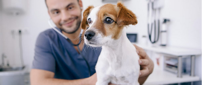 Veterinary Technician with a puppy