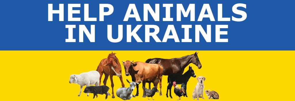 help-animals-in-ukraine-ontario-association-of-veterinary-technicians