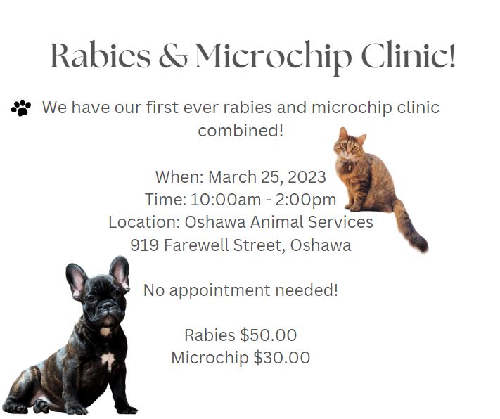 Rabies Vaccine Clinics — Ontario Association of Veterinary Technicians