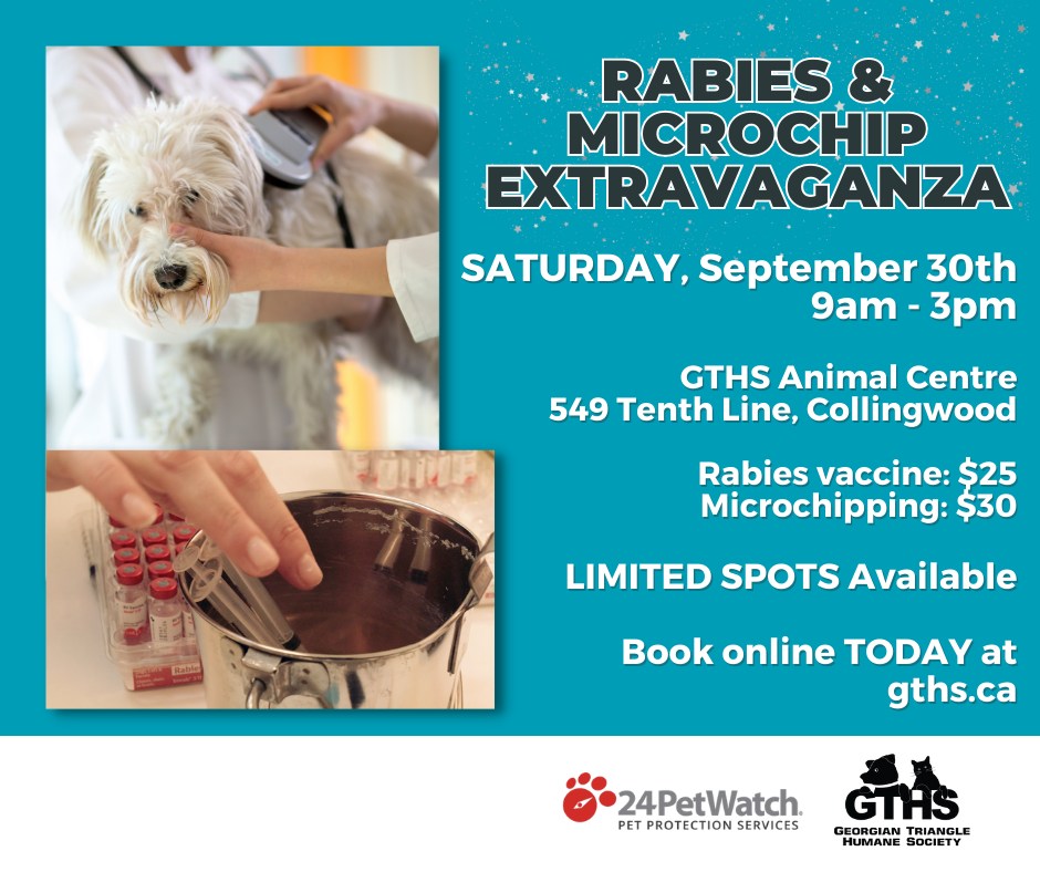 Rabies Vaccine Clinics Ontario Association Of Veterinary Technicians   SMD Rabies Vaccine 