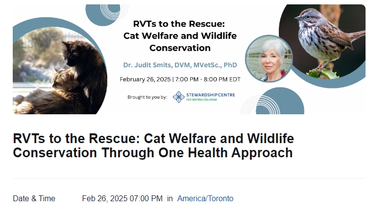 RVTs to the Rescue: Cat Welfare and Wildlife Conservation