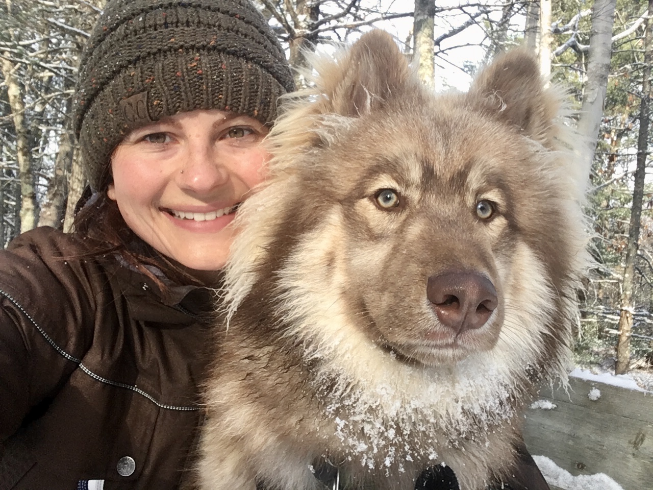 An RVT and her dog