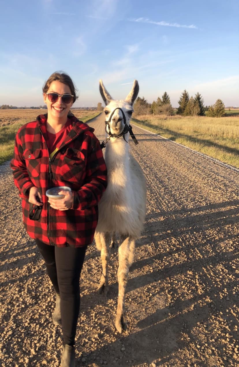 An RVT and her llama
