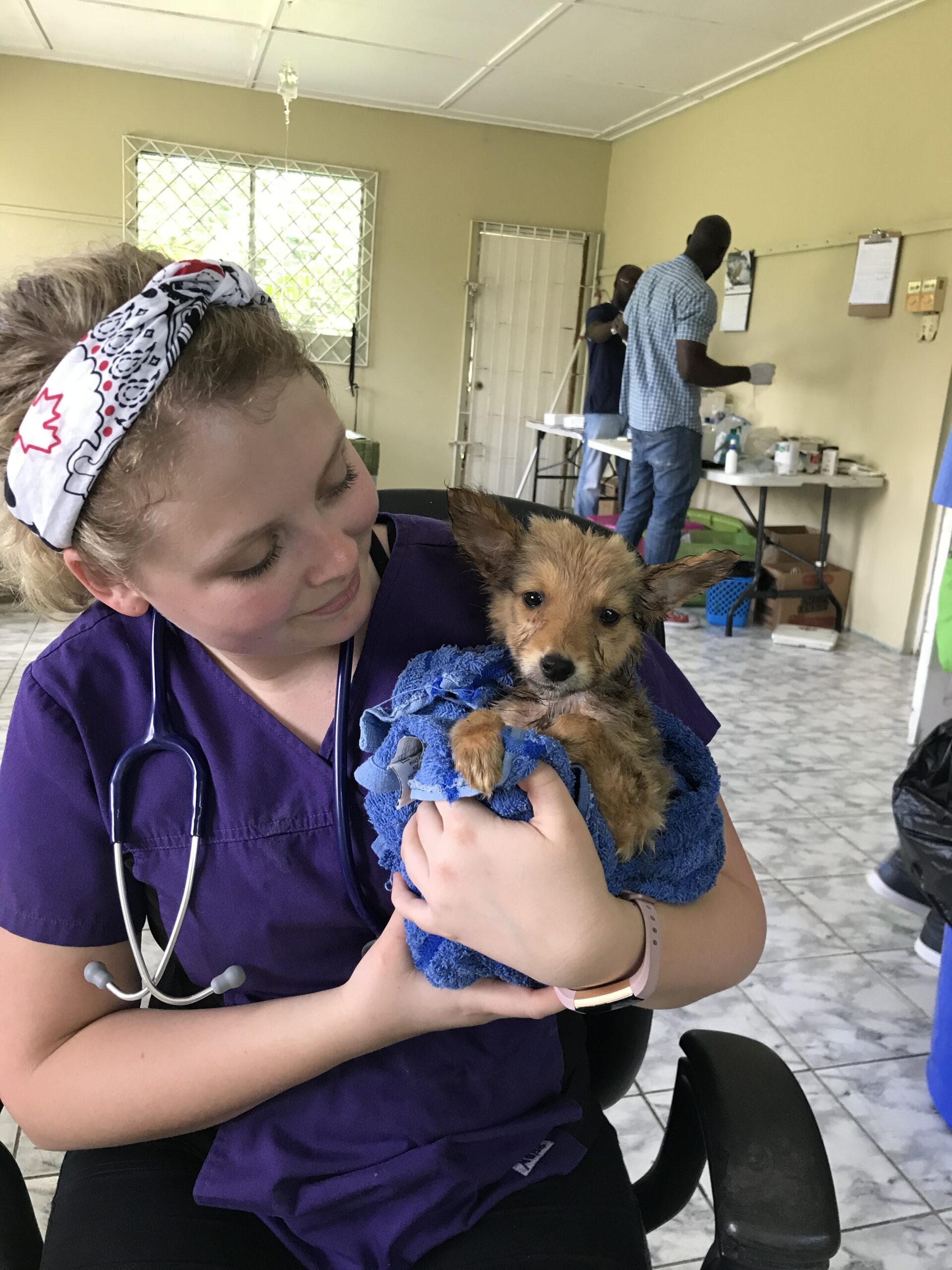 An RVT volunteering at a spay/neuter/wellness clinic in Jamaica