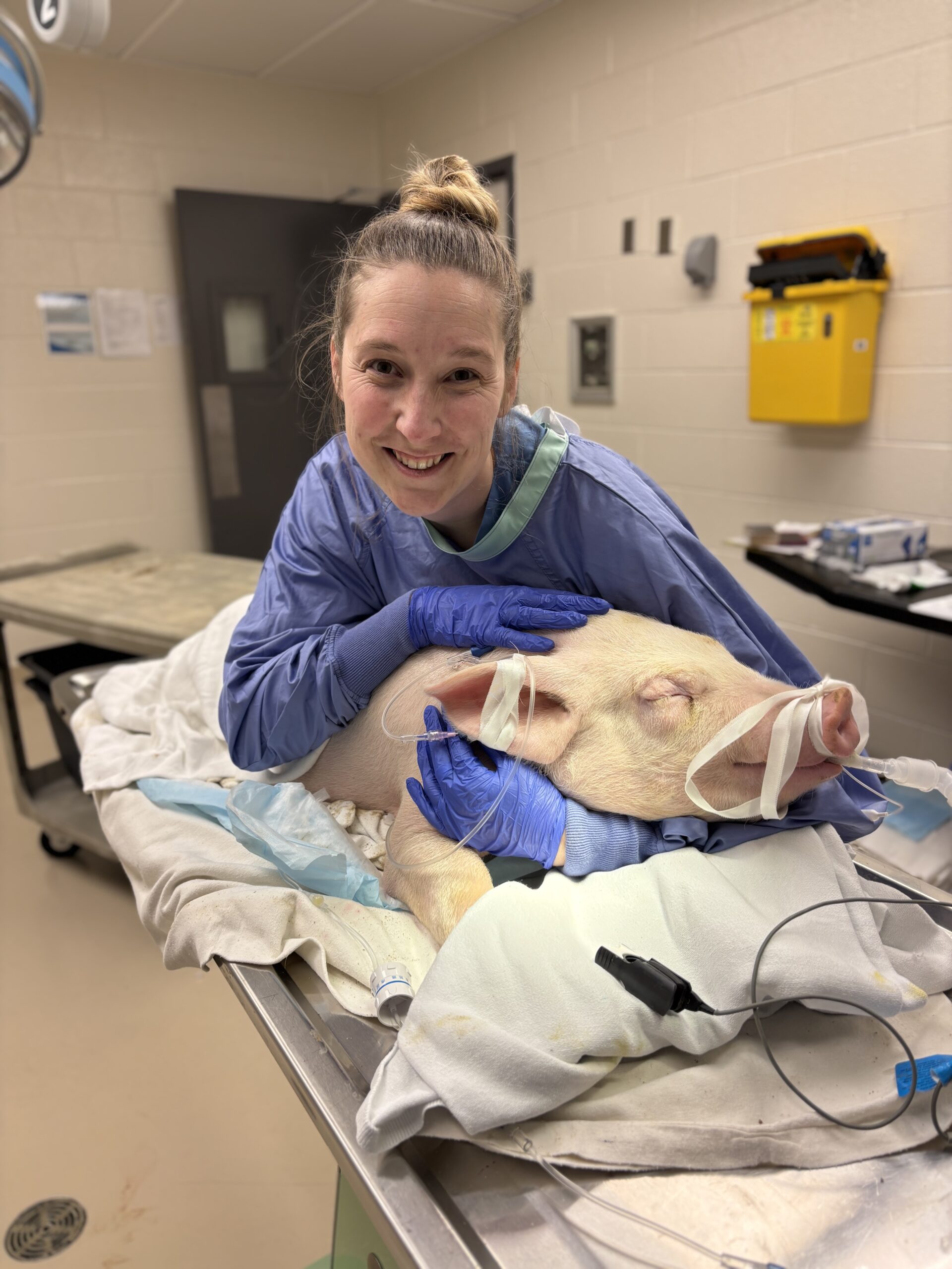 An RVT caring for a pig