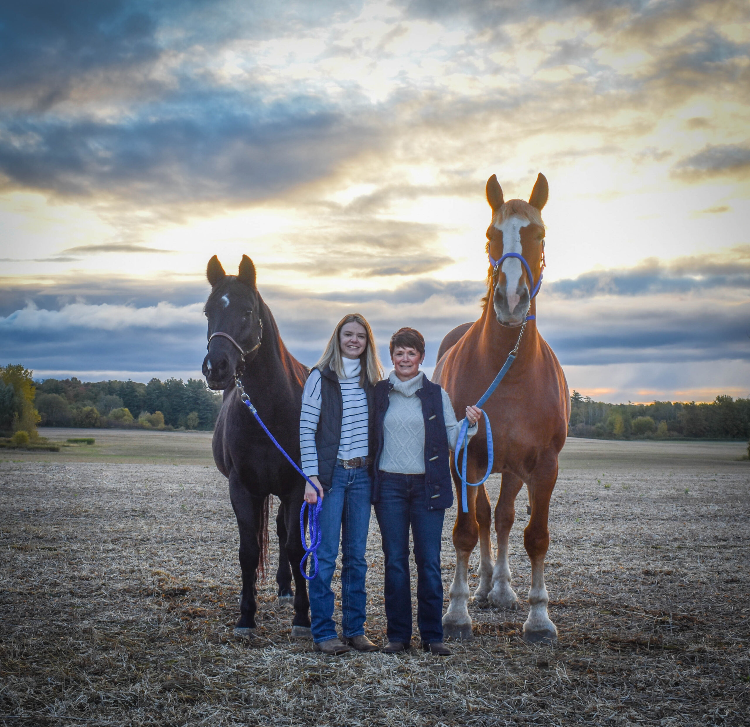 Two RVTs and their horses