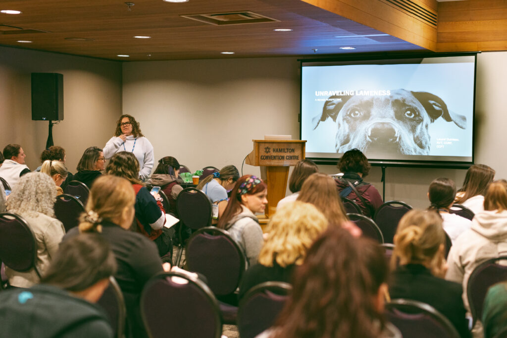A speaker addresses a room of RVTs. The speaker is featured in the top left of the image, a screed displaying a dog is at the top right. Attendees are in foreground.