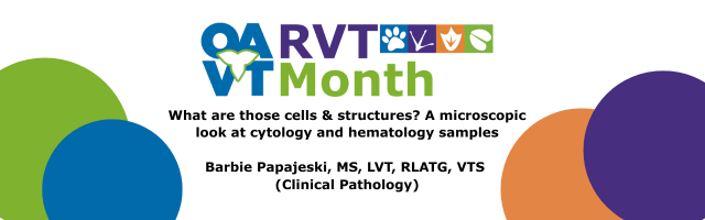 RVT Month Webinar Series: Clinical Pathology with Barbie Papajeski