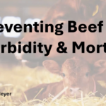 Preventing beef cattle morbidity and mortality screenshot from the opening of the presentation.