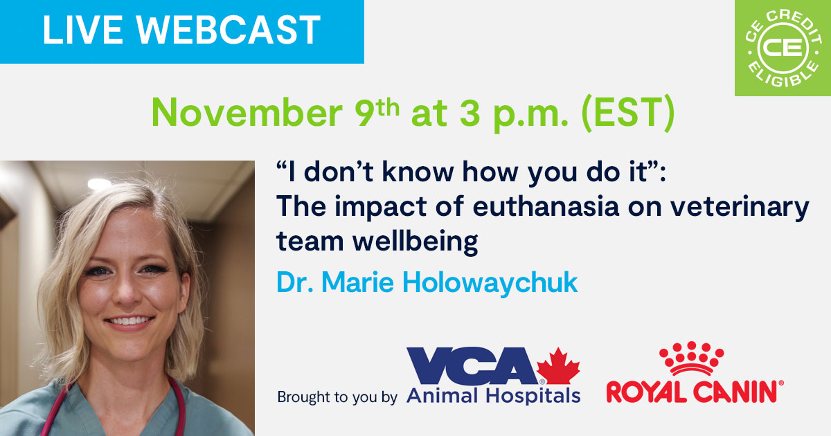 “I don’t know how you do it” The impact of euthanasia on veterinary team wellbeing — Ontario