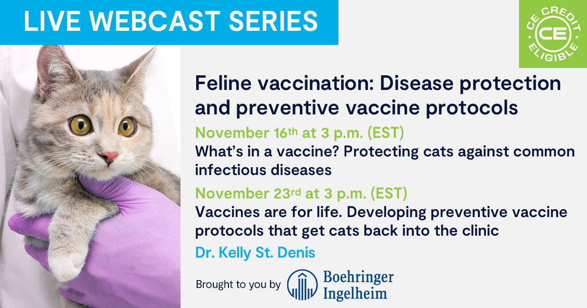 What S In A Vaccine Protecting Cats Against Common Infectious Diseases   Live Webcast Feline Vaccination St. Denis EN 