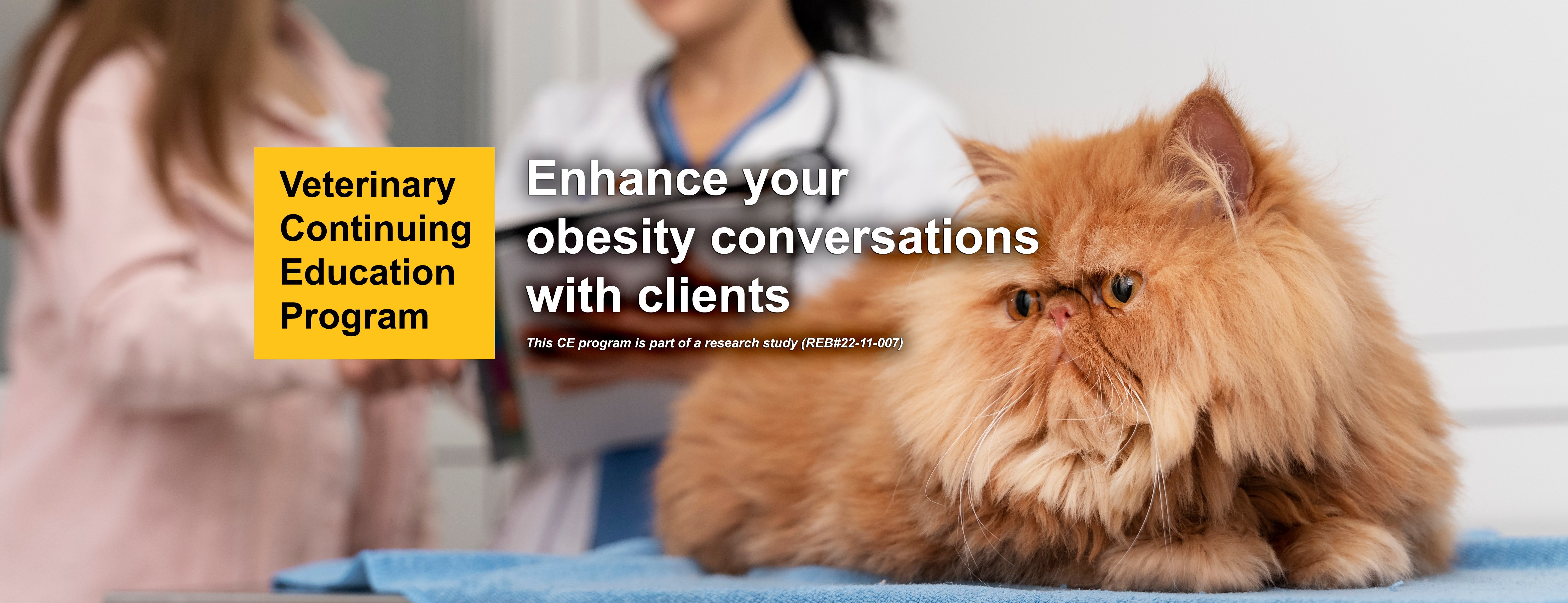 Enhance Your Obesity Conversations with Clients