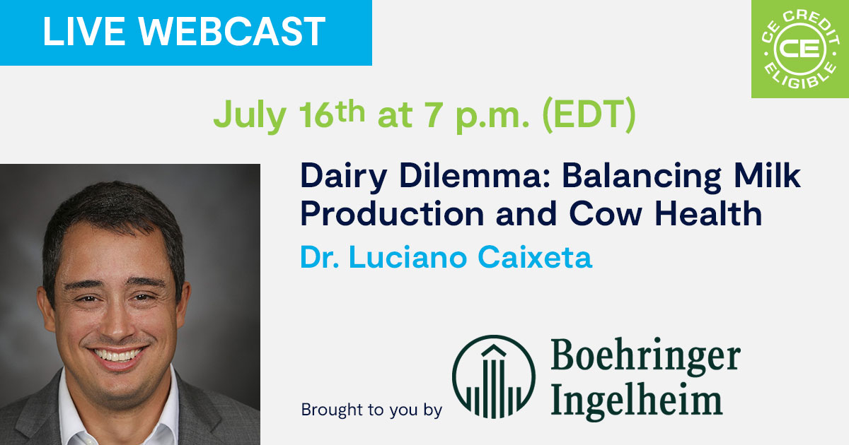 Dairy Dilemma: Balancing Milk Production and Cow Health