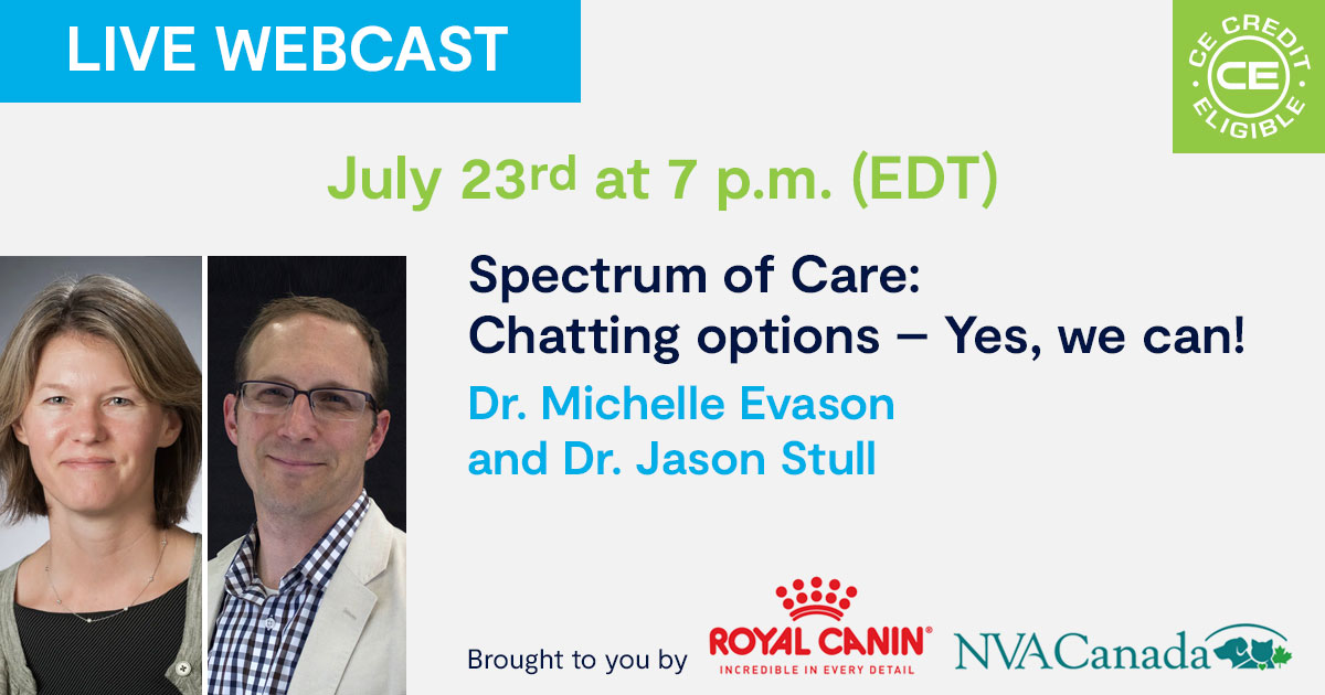 Spectrum of Care: Chatting options – Yes, we can!