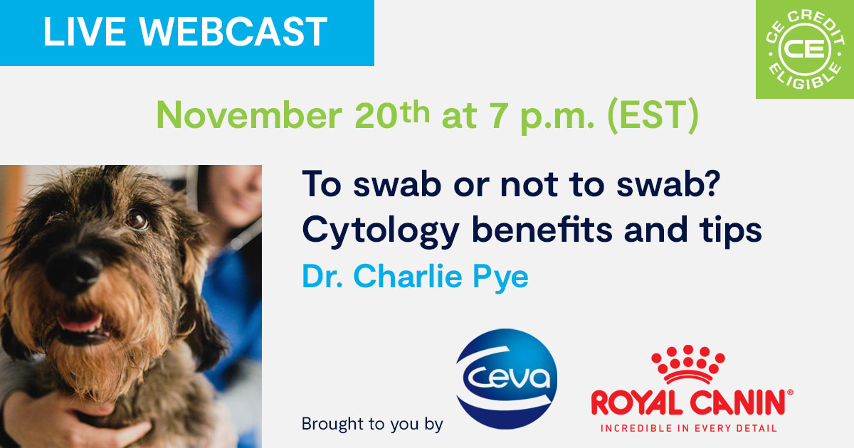 To swab or not to swab? Cytology benefits and tips