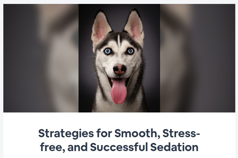 Strategies for Smooth, Stress-free, and Successful Sedation