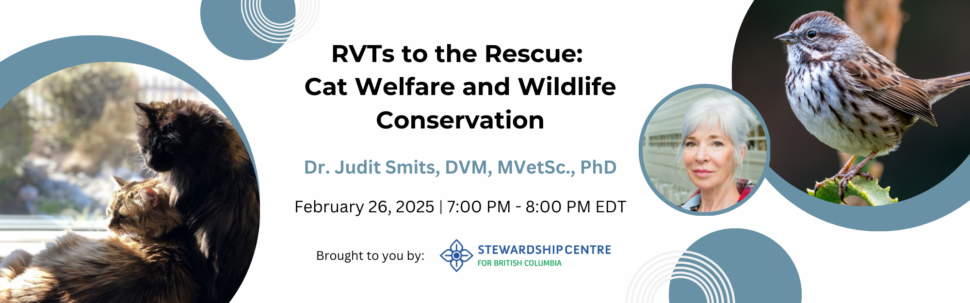 RVTs to the Rescue: Cat Welfare and Wildlife Conservation