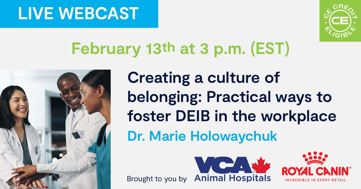 Creating a culture of belonging: Practical ways to foster DEIB in the workplace