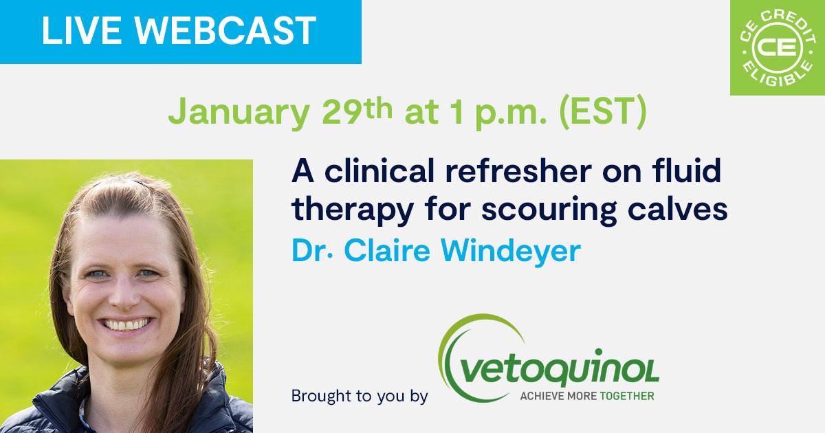 A clinical refresher on fluid therapy for scouring calves