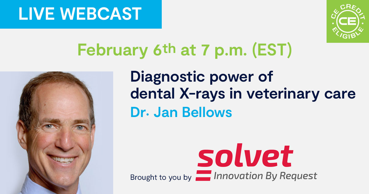 Diagnostic power of dental X-rays in veterinary care