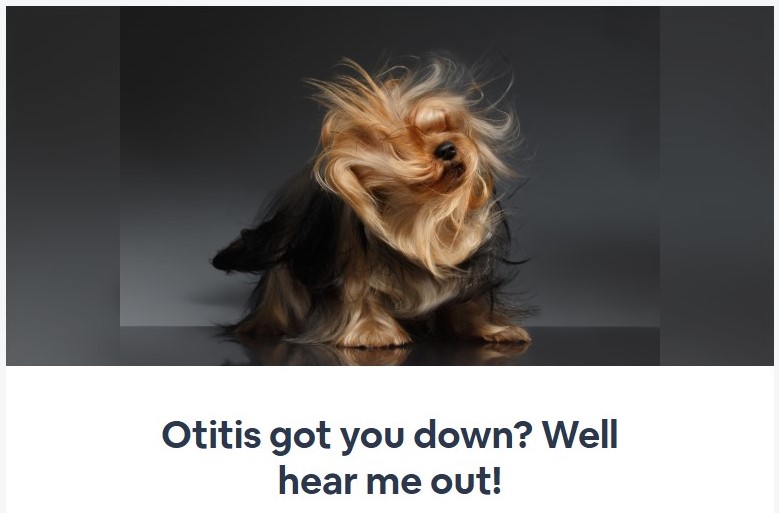 Otitis got you down? Well hear me out!