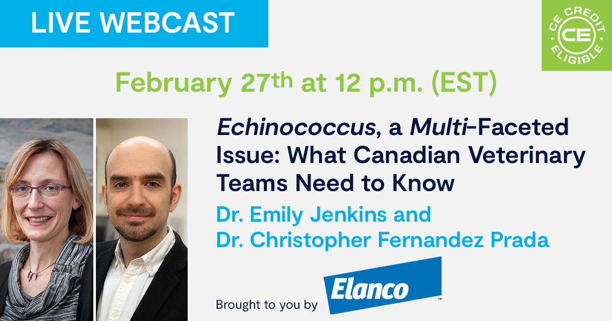 Echinococcus, a Multi-Faceted Issue: What Canadian Veterinary Teams Need to Know