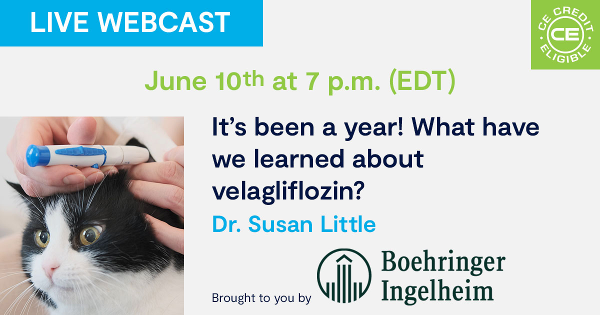 It’s been a year! What have we learned about velagliflozin?