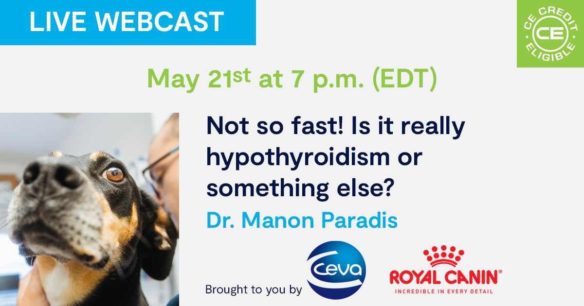 Not so fast! Is it really hypothyroidism or something else?