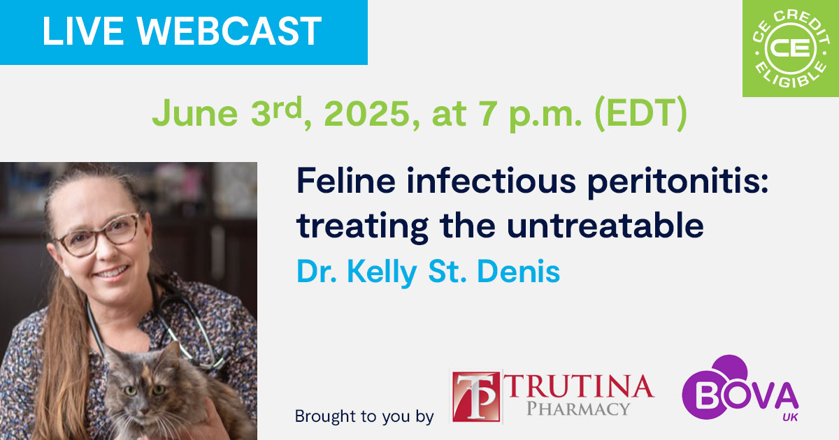 Feline infectious peritonitis: treating the untreatable