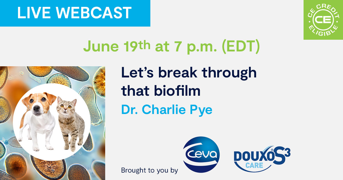 Let’s break through that biofilm