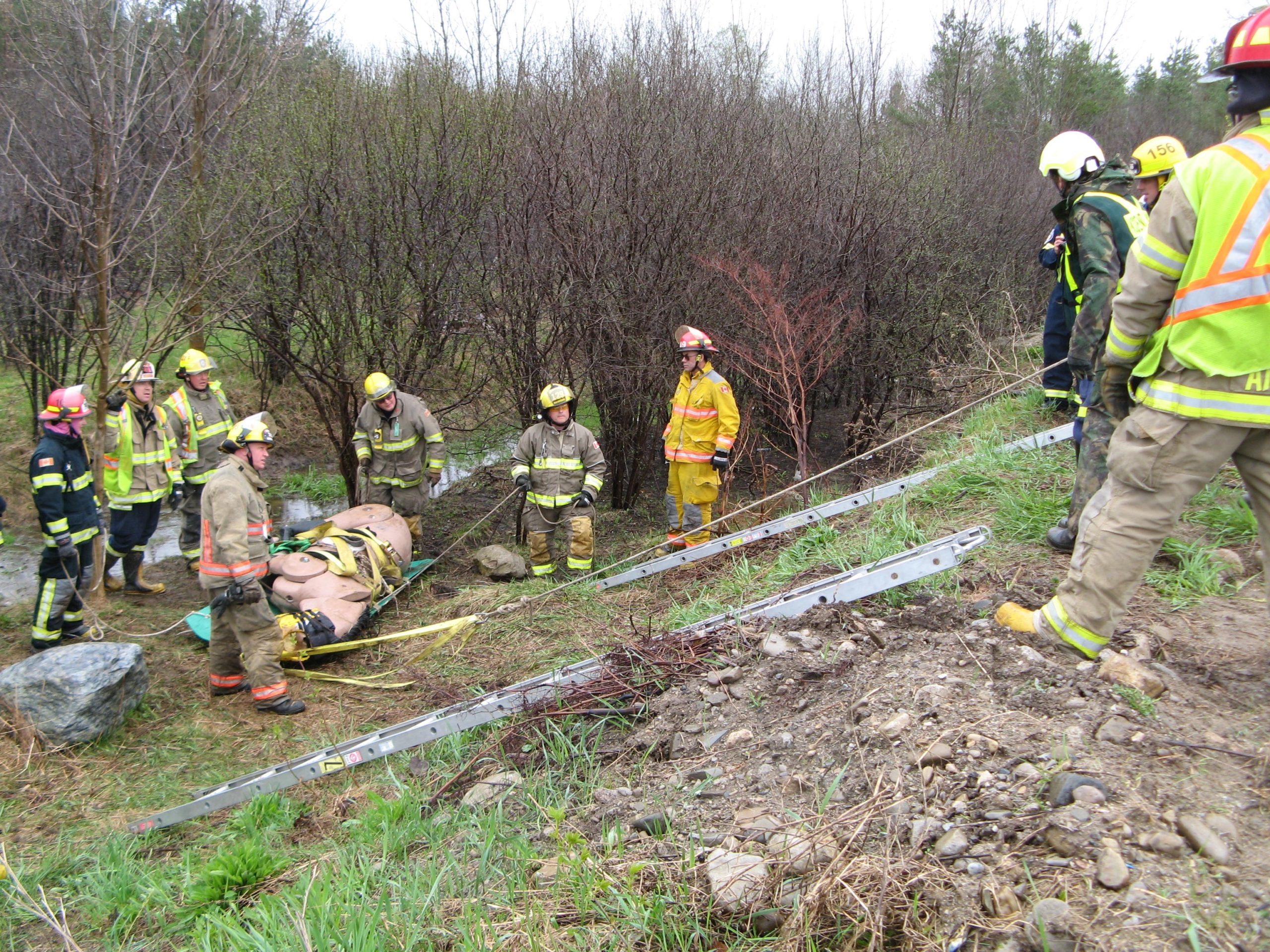 Large Animal Emergency Rescue Training Course