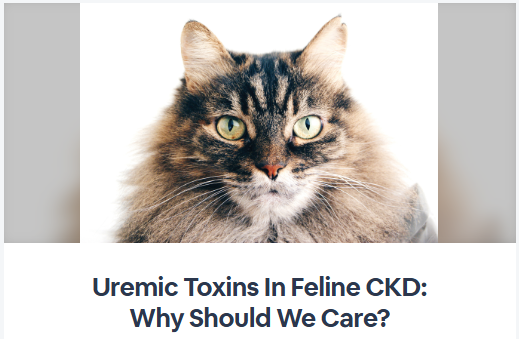 Uremic Toxins In Feline CKD: Why Should We Care?
