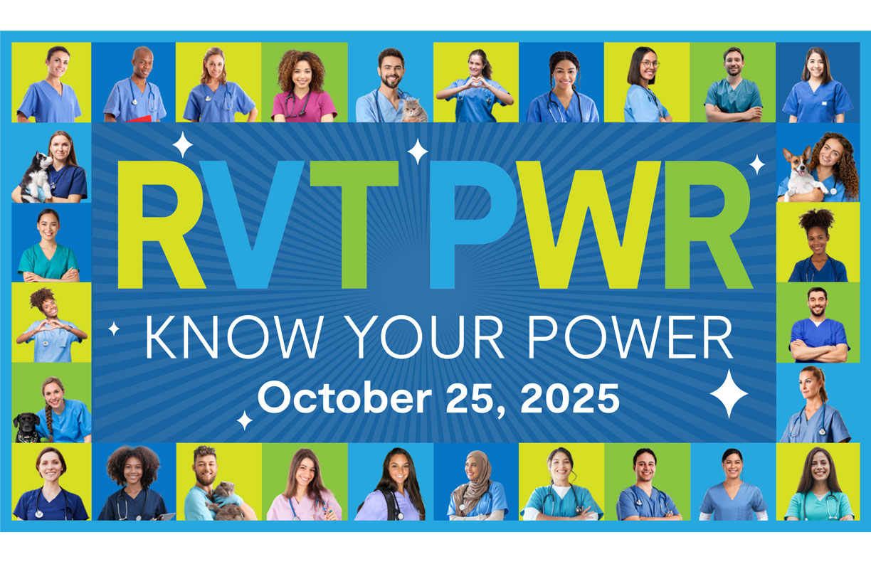 RVT PWR 2025 – Tap into your power and turn it ALL the way up!