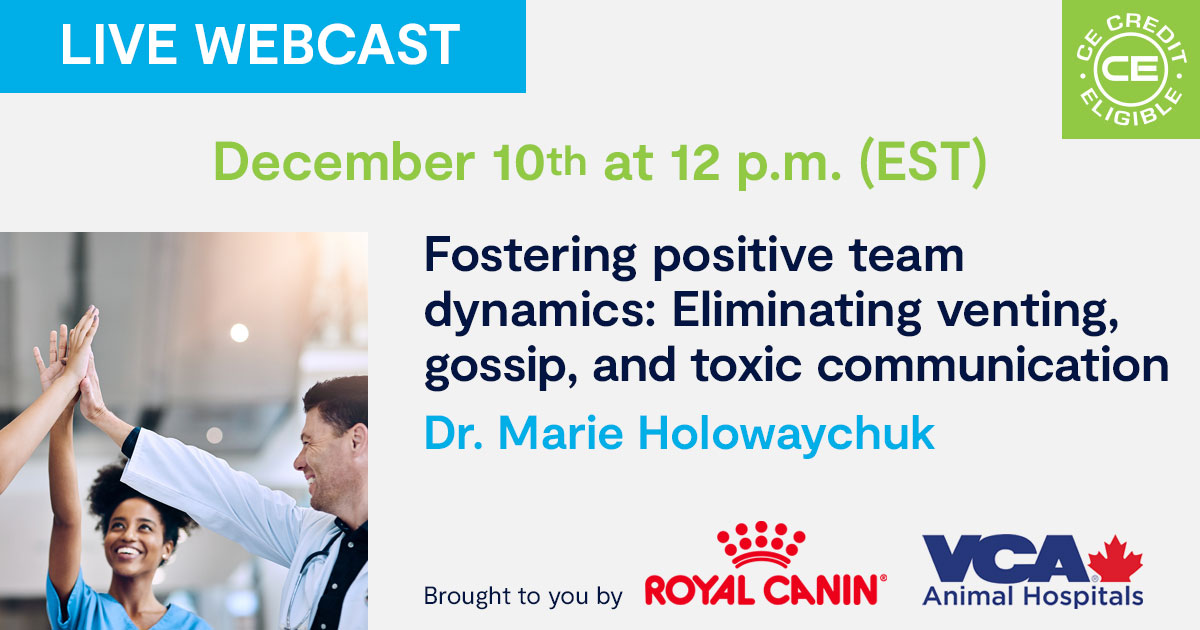 Fostering positive team dynamics: Eliminating venting, gossip, and toxic communication