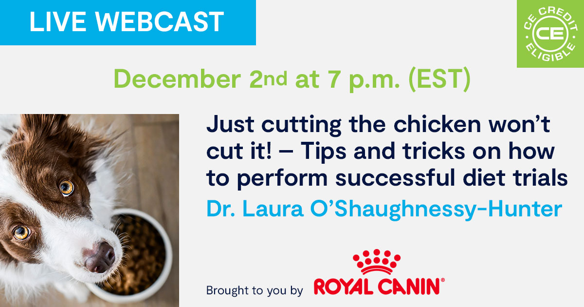 Just cutting the chicken won’t cut it! – Tips and tricks on how to perform successful diet trials