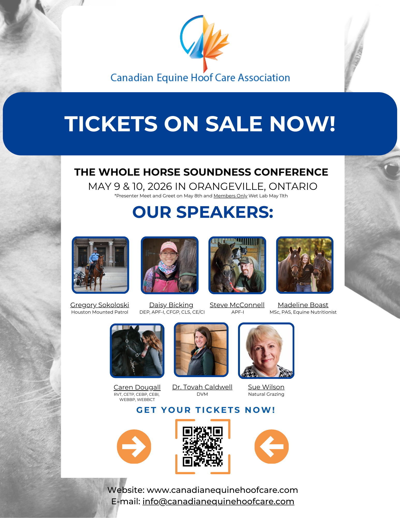 The Evolution In Whole Horse Soundness Conference