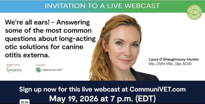 We’re all ears! – Answering some of the most common questions about long-acting otic solutions for canine otitis externa.