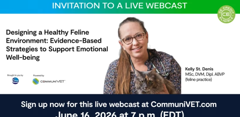 Designing a Healthy Feline Environment: Evidence-Based Strategies to Support Emotional Well-being