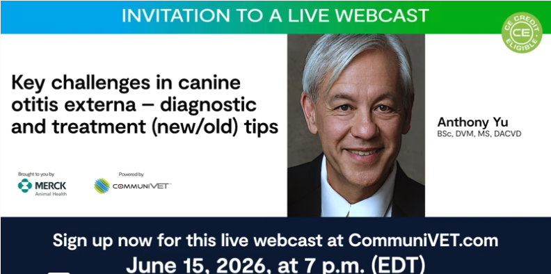 Key challenges in canine otitis externa – diagnostic and treatment (new/old) tips
