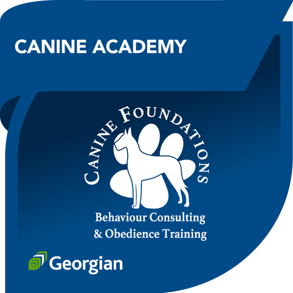 Canine Foundations’ Training Academy – Module One