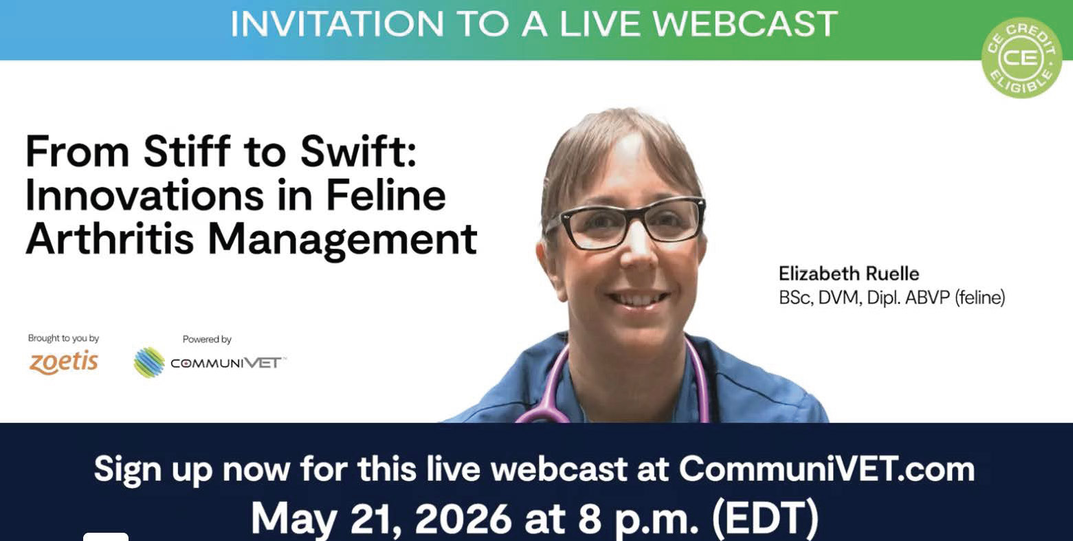 From Stiff to Swift: Innovations in Feline Arthritis Management