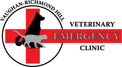 Vaughan Richmond Hill Veterinary Emergency Clinic