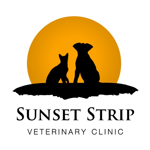 Sunset Strip Veterinary Clinic