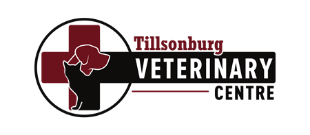 Tillsonburg Veterinary Centre