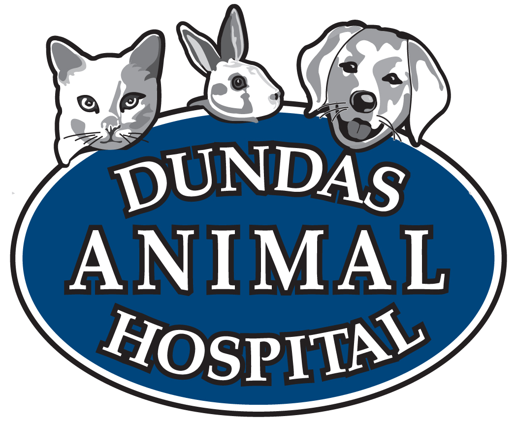 Dundas Animal Hospital