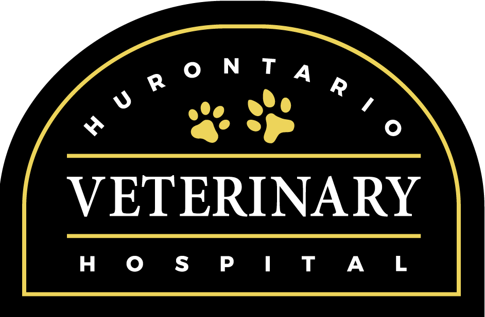 Hurontario Veterinary Hospital