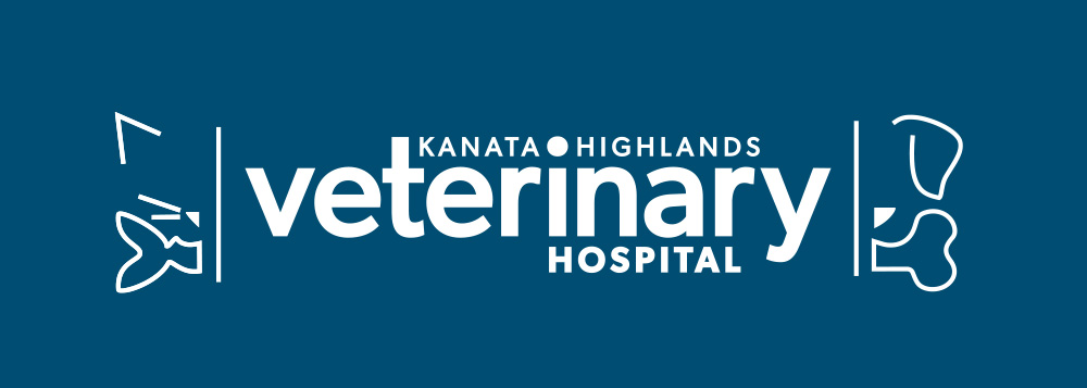 Kanata Highlands Veterinary Hospital