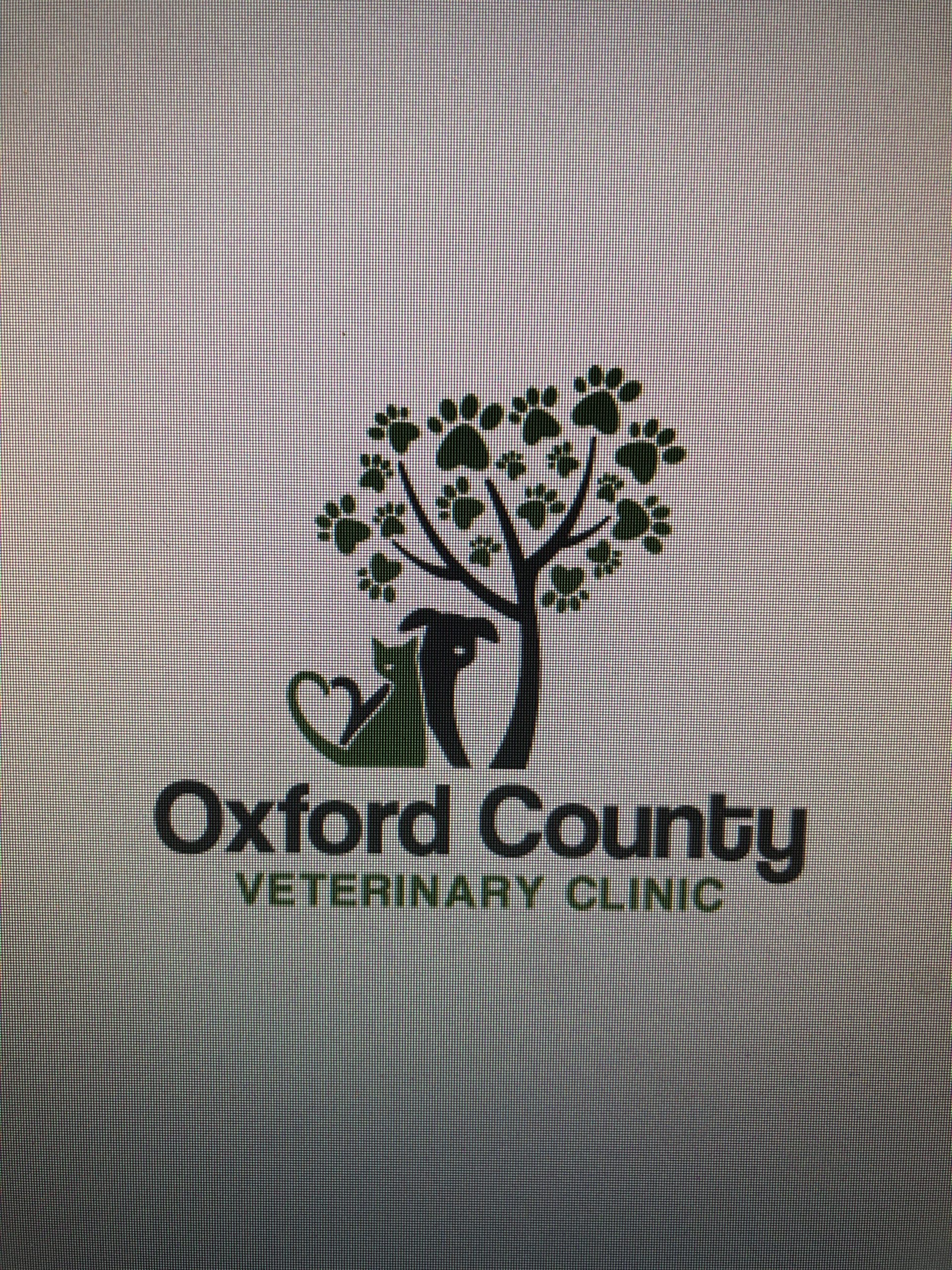 Seeking an RVT — Ontario Association of Veterinary Technicians