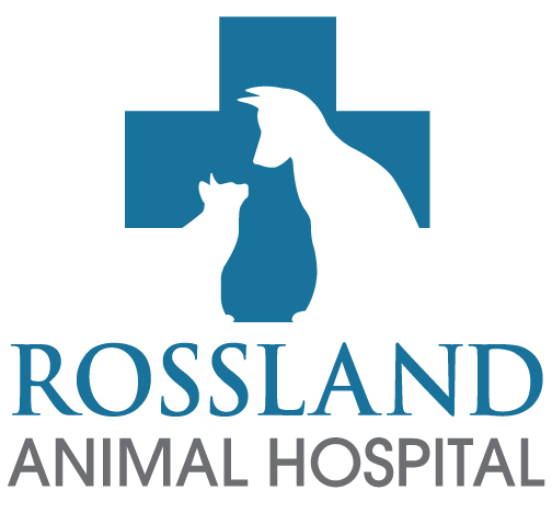 Rossland Animal Hospital