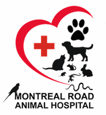 Montreal Road Animal Hospital